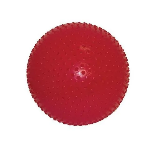 American 3B Scientific - CanDo - From: W67546 To: W67550 - Sensi ball, 55cm (21.7in)